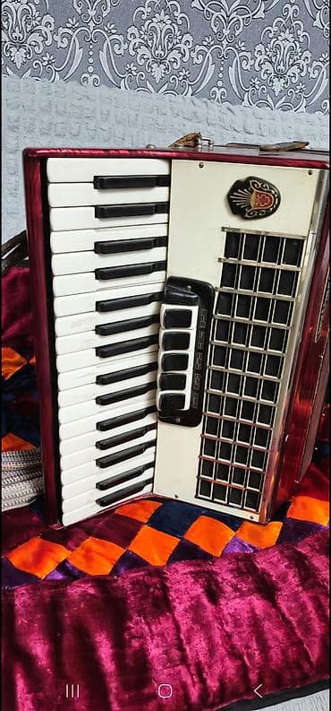 Синтезаторы: Аккордеоны — 3