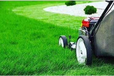 Обучение, курсы: Сеем газон под ключ,косимобработка газона хвойных всех видов — 2