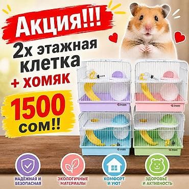 Грызуны: 🐹 Готовый пушистый друг — без забот! 🏡 Джунгарский хомяк (1,5 месяца) — 1