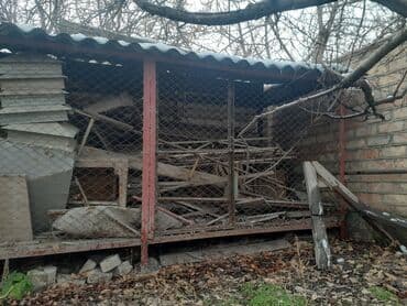 аквариум рыбки: Продаю вальер большой делали для себя 5 размер крыша из шифера пол — 1