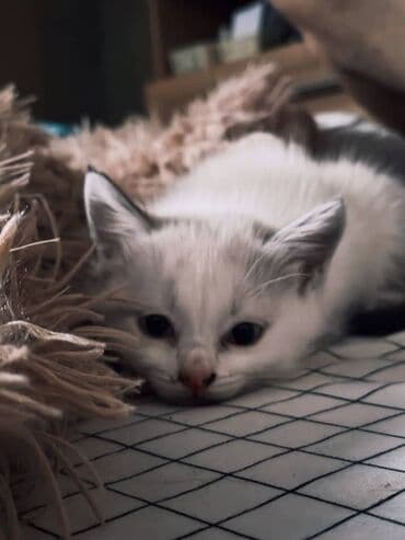 4 месяца, Девочка