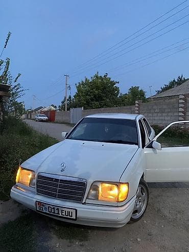 Mercedes-Benz W124: 1994 г., 2.2 л, Механика, Бензин, Седан