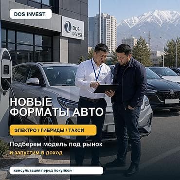 DOS INVEST — подбор и запуск автомобилей в доход Что предлагаем: -