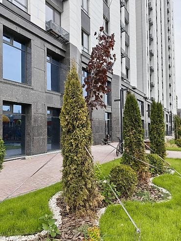 49: 1 комната, 49 м², Советская/Скрябина Элитка, 13 этаж, ПСО (под самоотделку) — 1