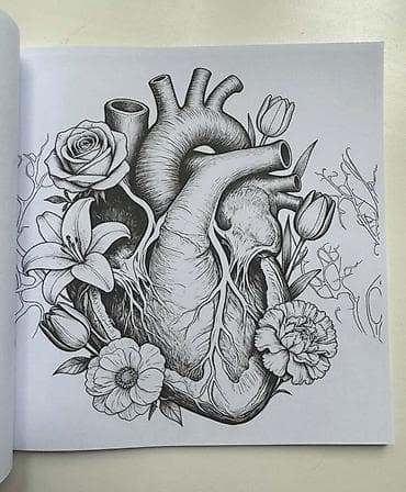 Книги и журналы: Анатомическая раскраска Human Anatomy Coloring Book для взрослых😻🫀 — 3