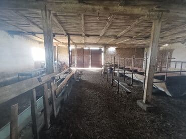 дом в районе кызыл аскер: Продаю Кошара, 600 соток, Действующий, С оборудованием, Электричество, Скважина — 14