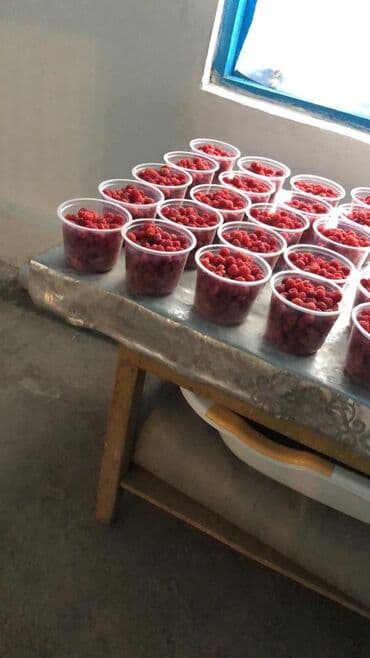 продажа домов шопоков: Дача, 55 м², 5 комнат, Старый ремонт — 12