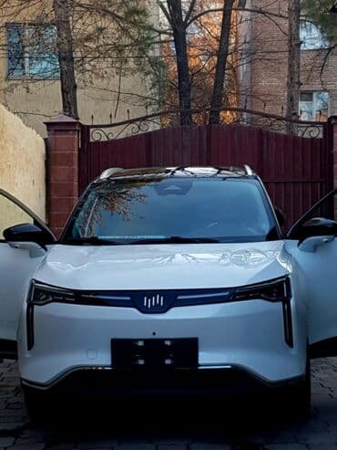 tesla pi: Weltmeister W6, 2021 г., 62000 км, Передний, В наличии — 1