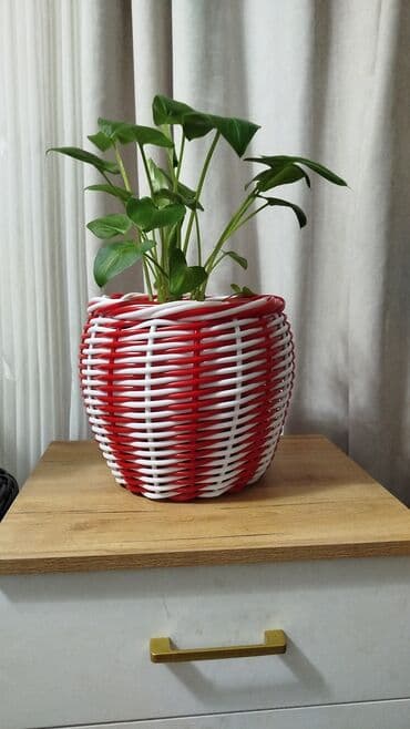 Лимоны: Ротанг кашполор баасы 1200 кол м-н токулган күнгө сууга эч нерсе — 7