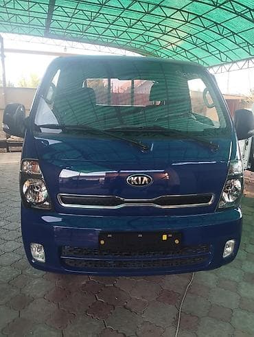 byd dolphin: Легкий грузовик, Kia, Стандарт, До 1 т — 6