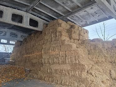 мал базар токмок 2020: Солома ячменая — 2