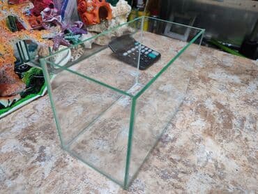 аквариумный: Аквариум новый объём 5 л. Есть и другие объёмы аквариумов, а также — 5