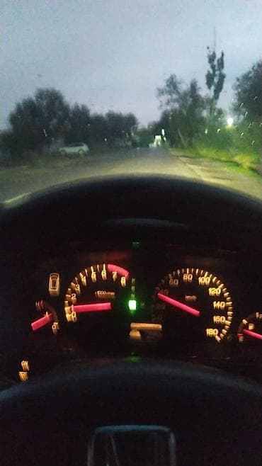 зерно кукурузы: Кукуруза 🌽 курук таза. буудай таза курук адрес кара балта толка — 7