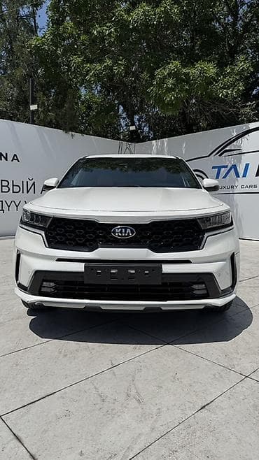 очки фирменные: Kia Sorento: 2021 г., 2.2 л, Дизель, Кроссовер — 1