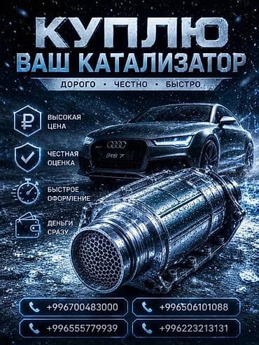 type s: Катализатор сатып алабыз, эн кымбат баада катализатор, Куплю — 3