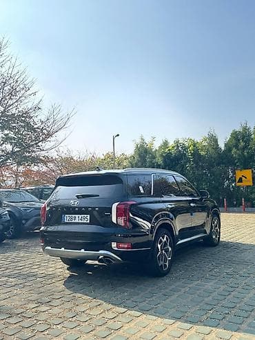 honda passport: Hyundai Palisade: 2020 г., Бензин, Кроссовер — 6