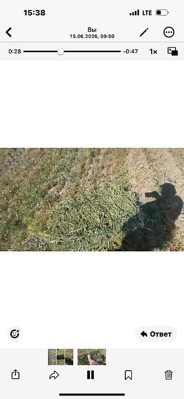симина кукурузы: Сено в тюках - Тип: луговое сено, прессованные прямоугольные тюки. - — 4