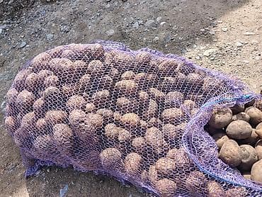 одежда для кормящих: Картошка Оптом — 3