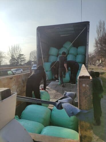 Айыл-чарба жаныбарлары: Силос 8. сом кг только оптом с выше 10 тонн адрес совхоз Фрунзе — 5