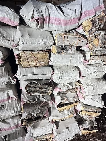 дрова в мишках: Дрова — 1