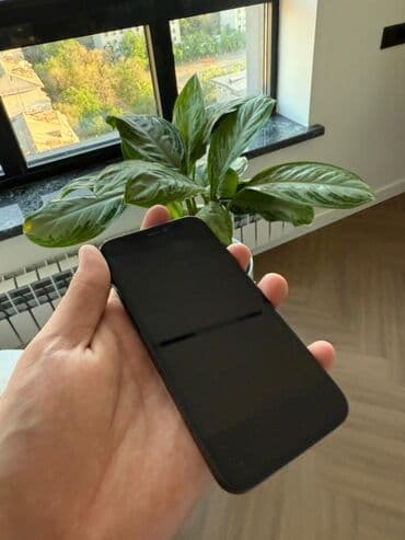 где купить телефон в бишкеке: IPhone 12 mini, Колдонулган, 128 ГБ, Кара, Заряддоочу түзүлүш, Каптама, Кабель, 78 % — 2