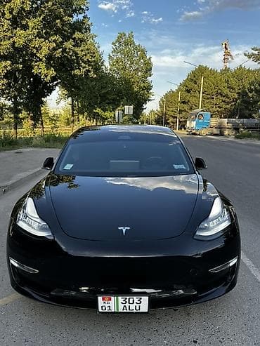мап дачик: Tesla Model 3: 2019 г., Электромобиль, Лифтбек — 1