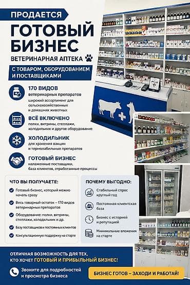 Даяр бизнес: Бизнес сатуу Дүкөн — 2