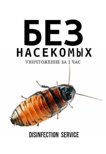 Клининговые услуги: Дезинфекция, дезинсекция, | Блохи, Клопы, Тараканы, | Кафе, магазины, Офисы, Дома — 1