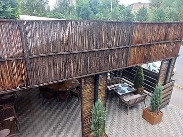 сасновка жер: Кыргыз бамбугу сиздердин кызматта шаар ичи жеткирип беруу акысыз — 8