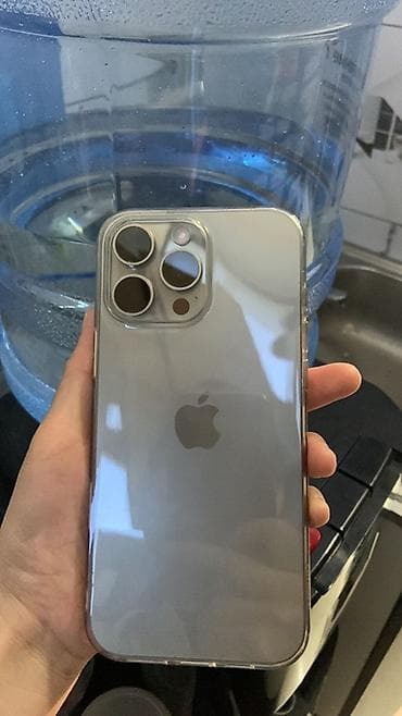 IPhone 16 Pro Max, Б/у, 256 ГБ, Natural Titanium, Чехол, 100 %