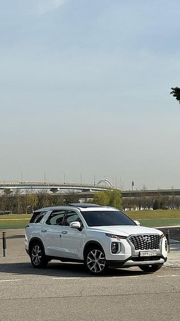 range over: Hyundai Palisade: 2019 г., 2.2 л, Дизель, Кроссовер — 5