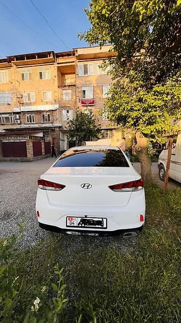 протер 2: Hyundai Sonata: 2019 г., 2 л, Автомат, Газ, Седан — 4