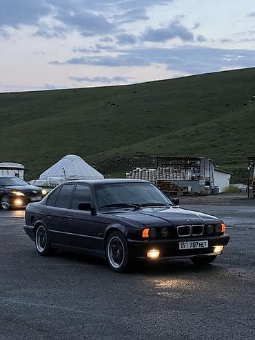 BMW 5 series: 1992 г., 2.5 л, Механика, Бензин, Седан