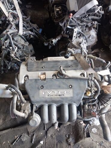 дверь степ вагон: Honda Stepwgn: 2003 г., 2 л, Бензин, Фургон — 3