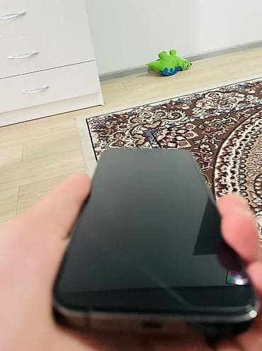iphine 13 pro: IPhone 13 Pro, 256 ГБ, Графит — 8
