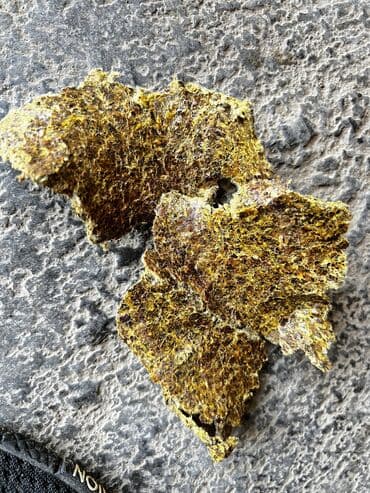 товары для животных: Пахта кунжара
Хлопковое жмых — 2