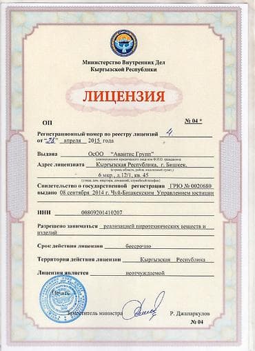 кий тулпан: Салюты и фейерверки в Кыргызстане! Пиротехническая компания "ПироМаг" — 2