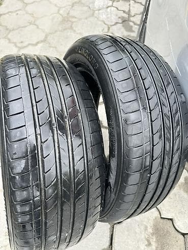 Шины 195 / 55 / R 15, Лето, Пара, Легковые, TRIANGLE