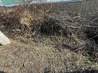 Декор и интерьер: Дрова — 4