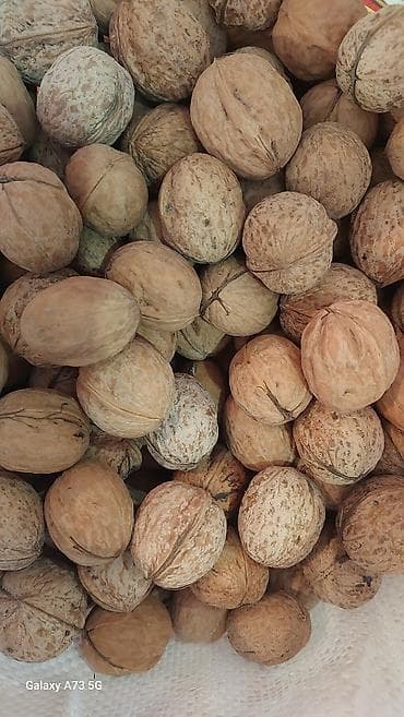 табуретки в бишкеке: Грецкий орех в скорлупе - Натуральные цельные орехи, высушенные, в — 1