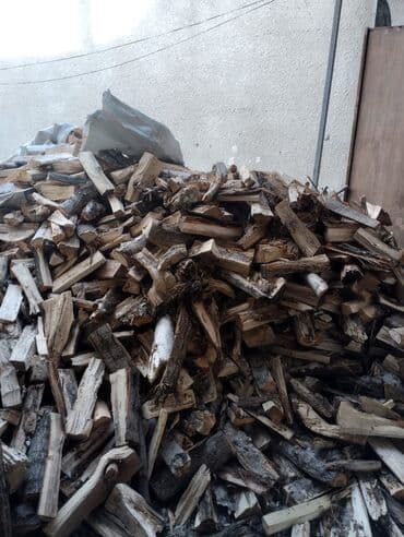 красный клен бишкек: Дрова Карагач, Самовывоз — 3