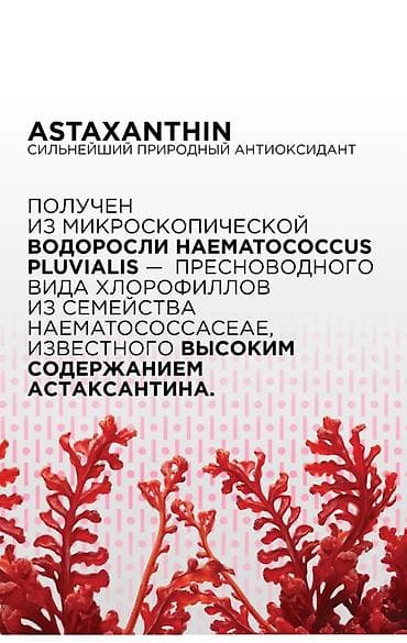 каротен марина хелс: Блокатор вирусов, Для детоксикации, Для ЖКТ, Для взрослых, Для детей, Для мужчин, Капсулы, Новый — 4