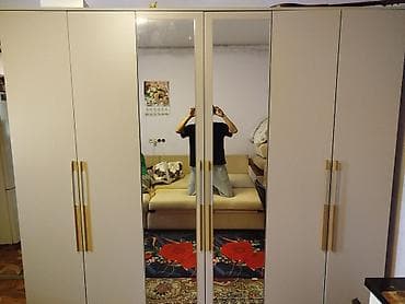 Шифоньер, шкаф для одежды, Б/у, Прямой