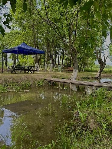 скамейки из дерева: @Fazenda.Resort + Зона отдыха у пруда в тени деревьев - Локация на — 2