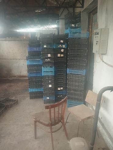 биндеры 220 листов для дома: Пластиковый Ящик — 4