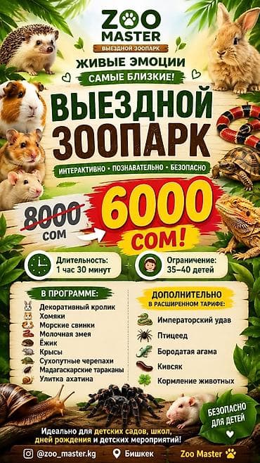 Детские лагеря на Иссык-Куле: Выездной зоопарк Zoo Master — живые эмоции на расстоянии вытянутой — 1