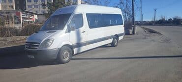 bus: По региону, Аэропорт, По городу Бус | 17 мест — 3