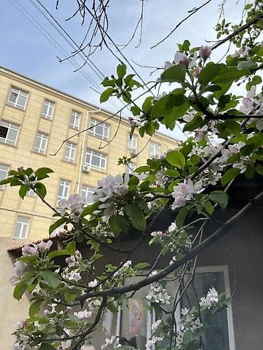 2 комнаты