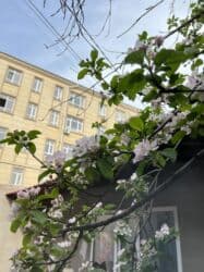 квартиры на долгий срок: Керме шыптар Жылтырабаган Монтаждоо — 5