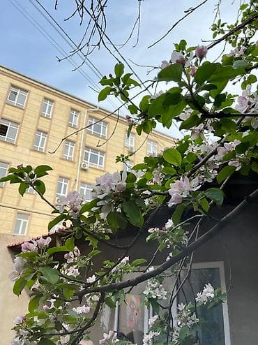 суточные квартиры кок жар: 1 комната, Собственник, Без подселения, С мебелью полностью — 1